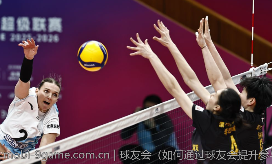 球友会（如何通过球友会提升参与度）